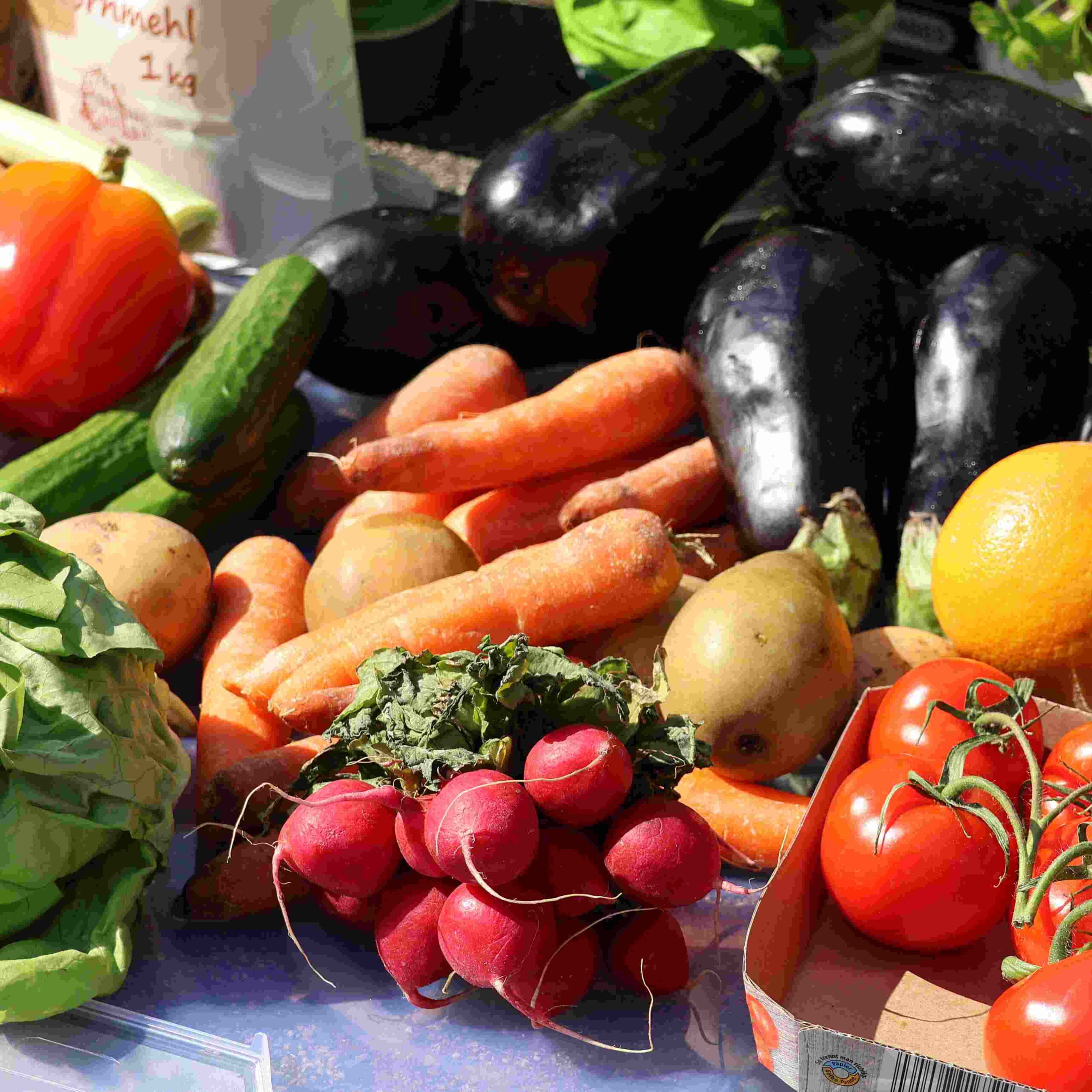 Gerettetes Obst und Gemüse
